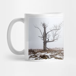 Lone Tree In Fog Mug